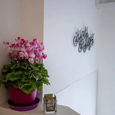 Bed & Bike 4* Ferrara