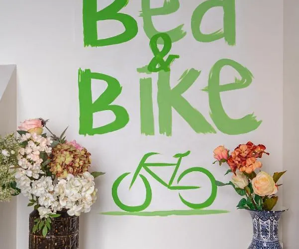 Bed & Bike 4*